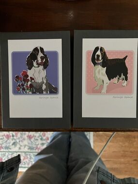 Springer Spaniel note cards by grrr-een Paper Russells USA dog